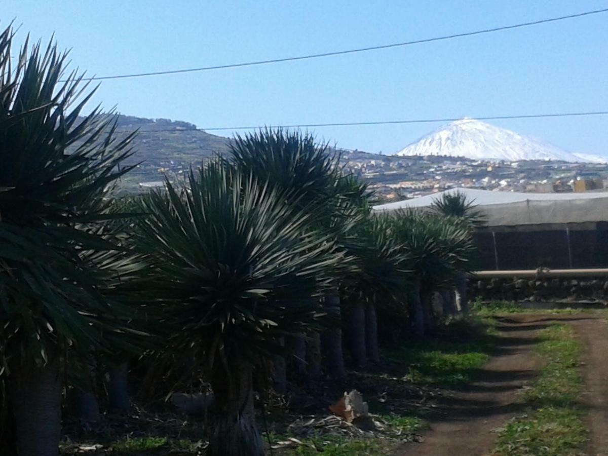 Camping Invernaderito Tejina Exterior foto